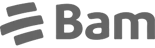 logo-bam-gris
